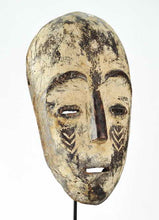 MC1308 Rare grand masque Zande Azande Mask  Ubangi Congo Rdc