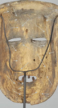MC1213 Mighty Boa Pongdu warrior mask from Congo Warrior Mask